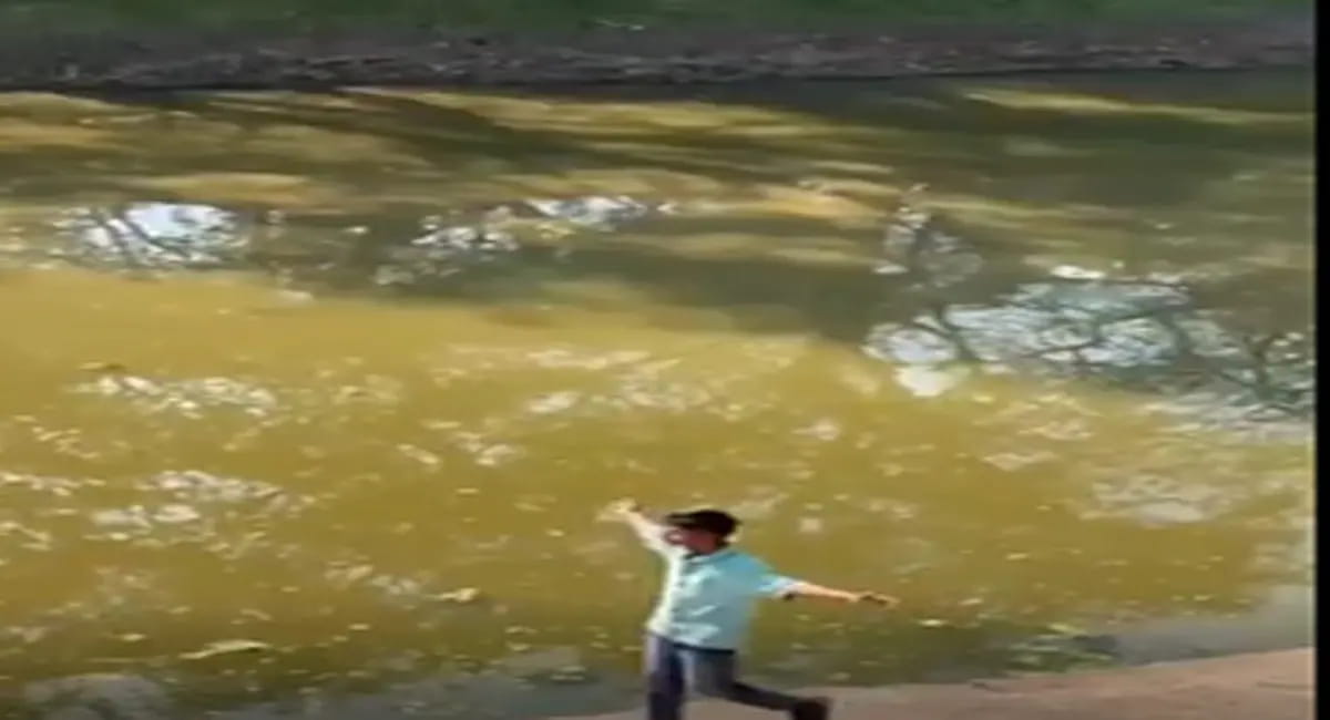 सोशल मीडिया पर वायरल हुआ वीडियो