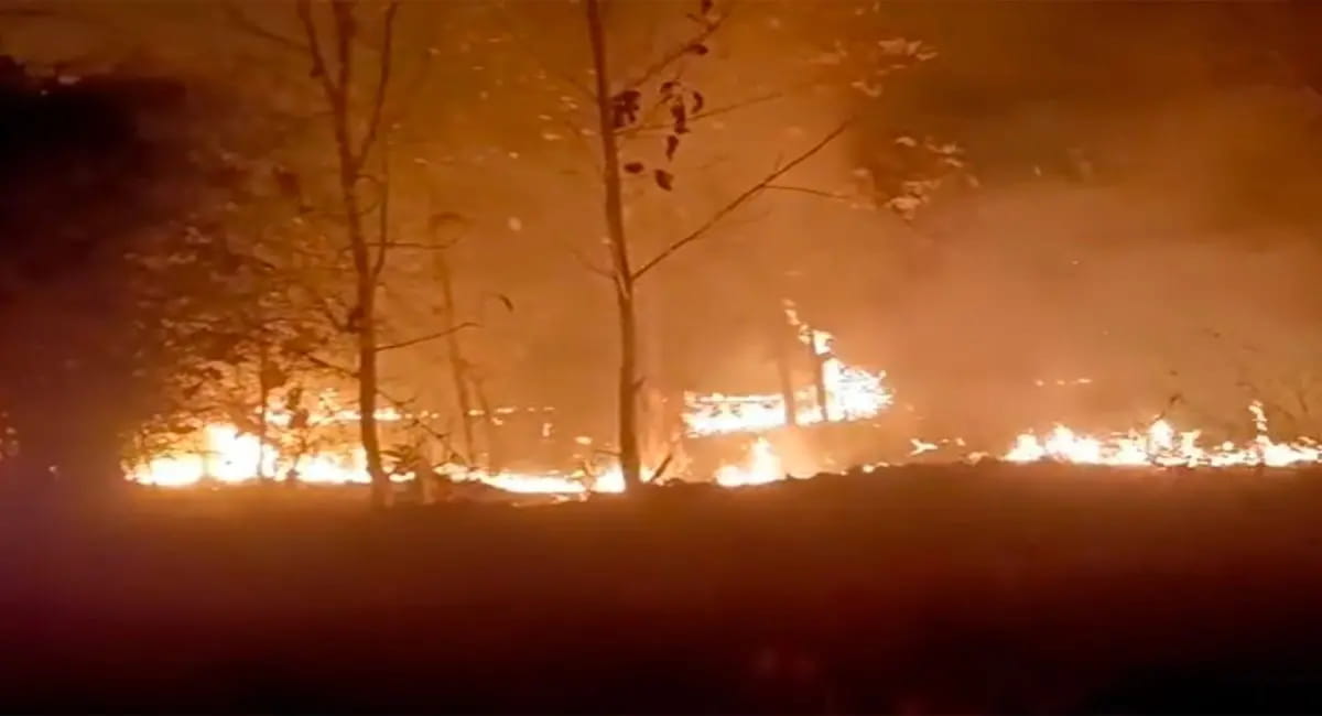 नर्सरी में भीषण आग, रात 1 बजे भड़की लपटें; हजारों पौधे जलकर खाक, लाखों का नुकसान
