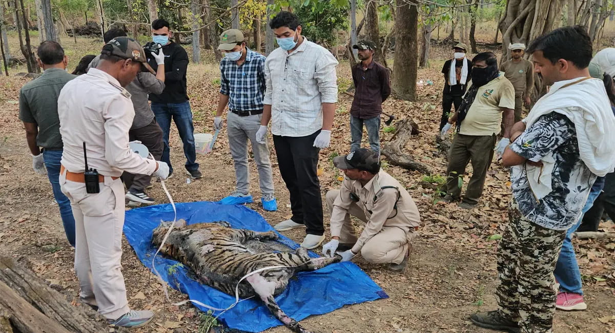 4 दिन में 3 की मौत, अब आखिरी बच्चे पर टिकी सबकी नजर