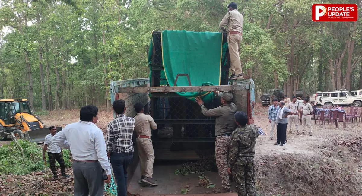 जंगली हाथी E-5 को खितौली रेंज में छोड़ा गया, अब सैटेलाइट कॉलर से होगी निगरानी