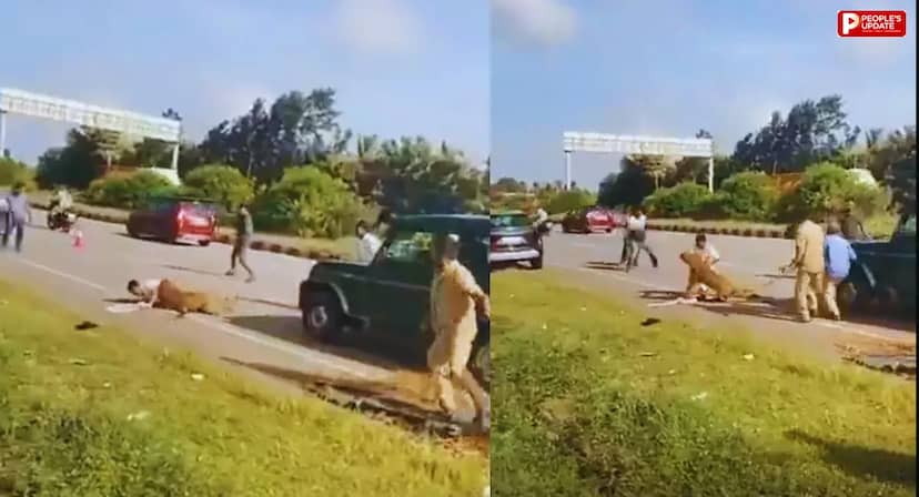 कर्नाटक में घायल तेंदुए को बचाने पहुंची वन विभाग की टीम पर हमला, अधिकारी को जमीन पर पटका; वीडियो वायरल