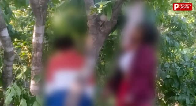 सीहोर के जंगल में सनसनी: शादी के 6 माह बाद पेड़ पर फंदे से लटके मिले पति-पत्नी, जांच में जुटी पुलिस