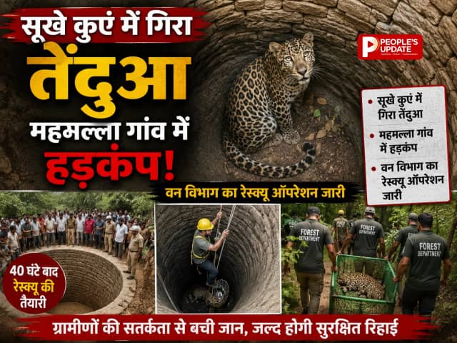 धमतरी में सूखे कुएं में गिरा तेंदुआ, महमल्ला गांव में हड़कंप, वन विभाग का रेस्क्यू ऑपरेशन जारी
