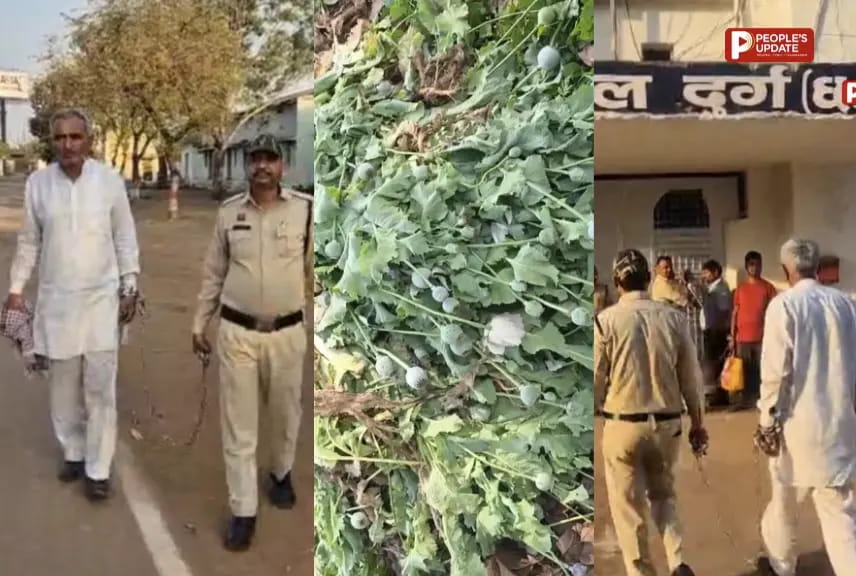 मक्के की फसल में छिपा था अफीम का साम्राज्य,5.609 एकड़ खेती मामले में 939 पन्नों की चार्जशीट कोर्ट में दाखिल