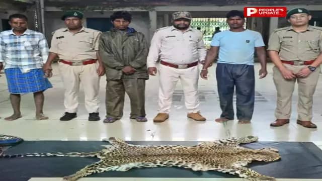 धौड़ाई में वन विभाग की बड़ी कार्रवाई, तेंदुए की खाल के साथ 3 तस्कर गिरफ्तार