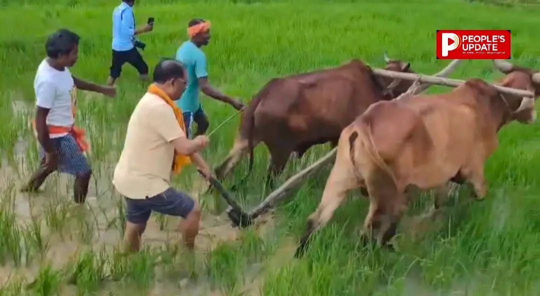 बगिया के खेत में मुख्यमंत्री ने की बियासी, मिट्टी की खुशबू ने जगाईं पुरानी यादें; बोले- खेती-किसानी से जुड़ाव मन को देता है सुकून