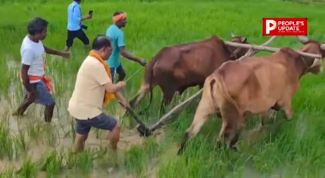 बगिया के खेत में मुख्यमंत्री ने की बियासी, मिट्टी की खुशबू ने जगाईं पुरानी यादें; बोले- खेती-किसानी से जुड़ाव मन को देता है सुकून