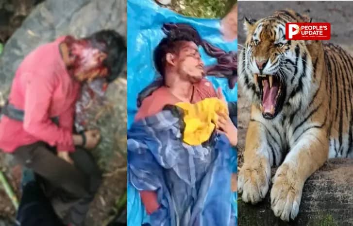 अचानकमार टाइगर रिजर्व में बाघिन का हमला से युवक की मौत,