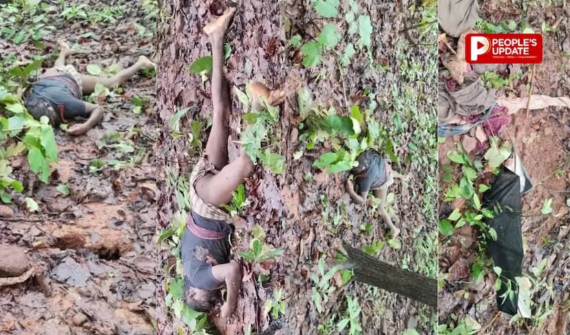 सूरजपुर में हाथी का कहर,ग्रामीण की कुचलकर दर्दनाक मौत, जंगल में मिला शव