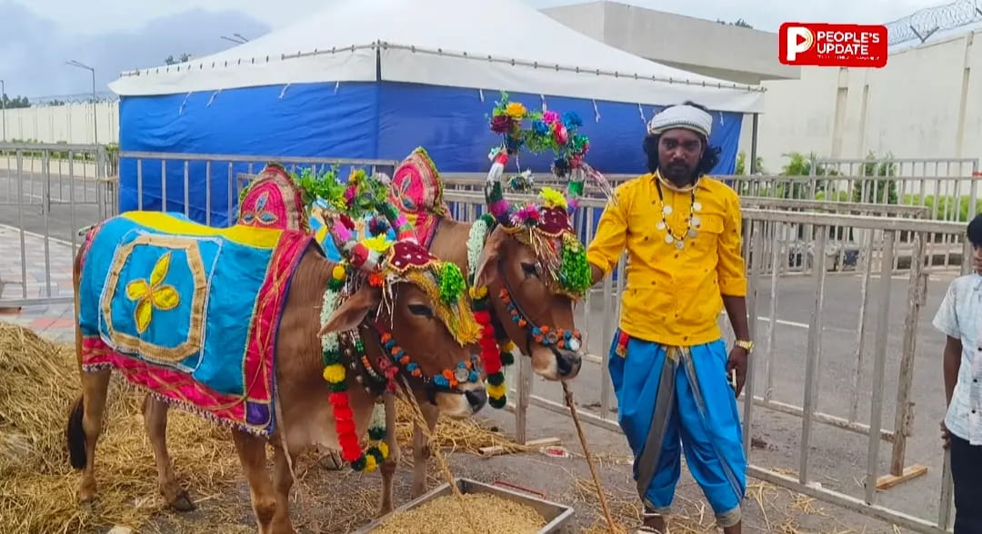 CM हाउस में तीजा-पोरा की धूम, सीएम साय बोले- लखपति बन रही हैं हमारी बहनें