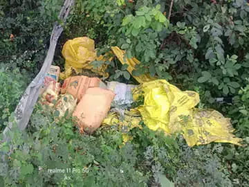 सूरजपुर में ट्रक पलटा तो खुला गांजा तस्करी का राज,दाना की बोरियों में छिपा था 1.19 करोड़ का बड़ा खेप