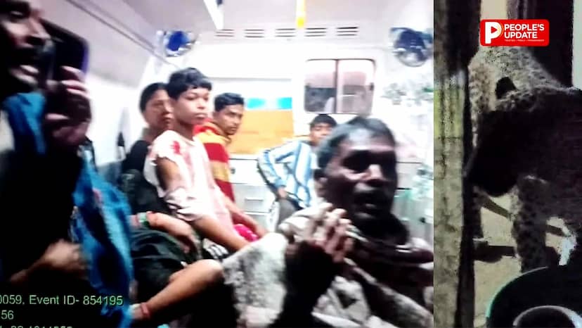 महासमुंद में घर के अंदर घुसा खूंखार तेंदुआ, 6 लोगों पर किया हमला,3 परिवार ने कमरे में किया कैद