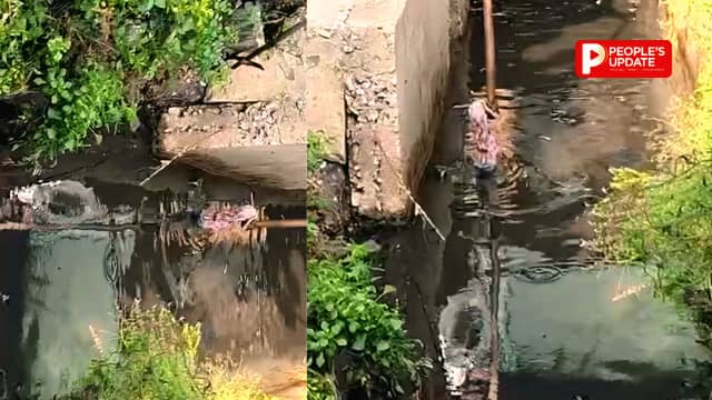 अभनपुर अस्पताल के सामने नाली में मिला नवजात का भ्रूण, इलाके में मचा हड़कंप,पुलिस खंगाल रही CCTV फुटेज