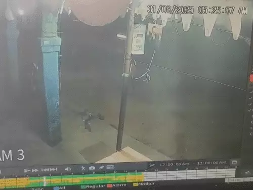 सूरजपुर में मूंगफली विवाद ने ली दो जिंदगियां, बोलेरो से पिता-पुत्र को कुचलकर हत्या, एक बेटा घायल