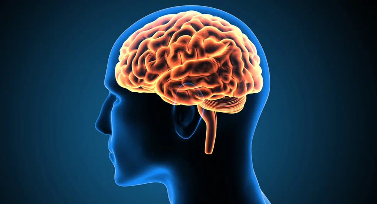 इंसान ने सोचना कैसे शुरू किया? शिकार से विज्ञान तक- मानव दिमाग के विकास की यात्रा
