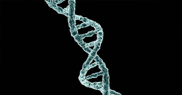 जिस RNA को समझा गया ‘बेकार’, वह नर्व्स को फिर से बढ़ाने में सहायक, चूहे पर किया गया शोध; लकवाग्रस्त मरीजों के लिए उम्मीद की किरण