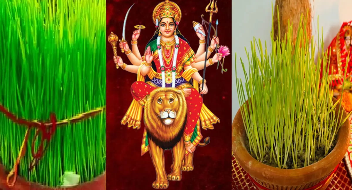 नवरात्रि में क्यों बोए जाते हैं जवारे? जानें महत्व और खास मान्यताएं