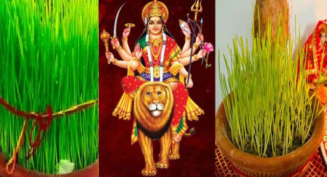 नवरात्रि में क्यों बोए जाते हैं जवारे? जानें महत्व और खास मान्यताएं