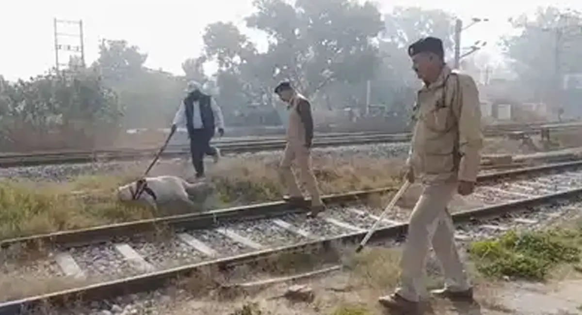 पटियाला में स्कूलों और रेलवे स्टेशन को उड़ाने की धमकी, पुलिस और सुरक्षा एजेंसियां अलर्ट