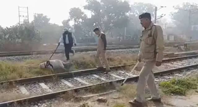 पटियाला में स्कूलों और रेलवे स्टेशन को उड़ाने की धमकी, पुलिस और सुरक्षा एजेंसियां अलर्ट