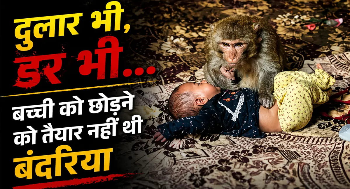3 महीने की बच्ची को गोद में लेकर बैठी बंदरिया, परिजनों पर किया हमला