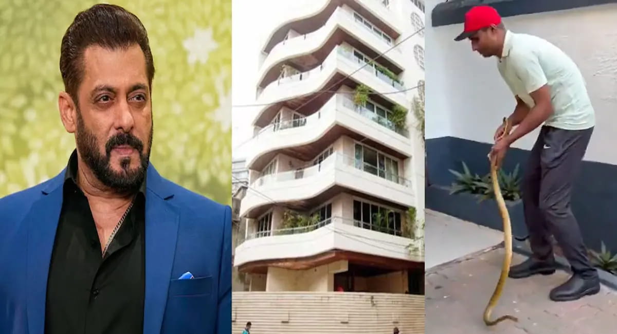 सलमान खान के गैलेक्सी अपार्टमेंट में दिखा सांप, तुरंत बुलानी पड़ी रेस्क्यू टीम; सामने आया VIDEO