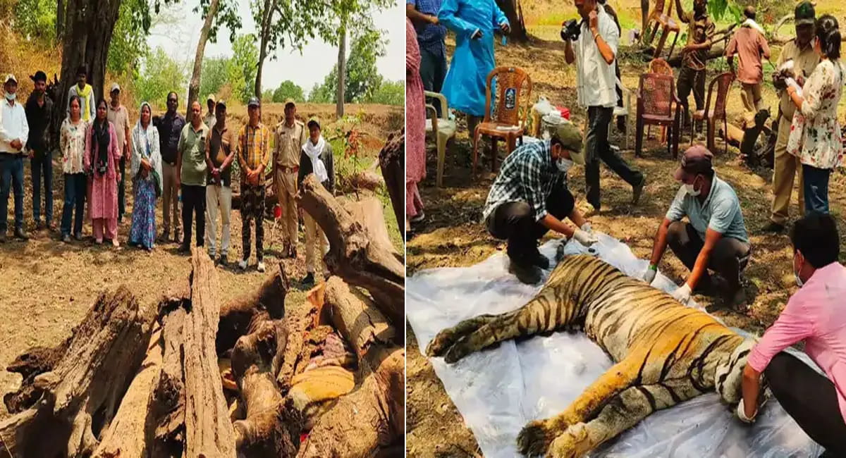 फेफड़ों में संक्रमण की पुष्टि, शरीर पर मिले चोट के निशान