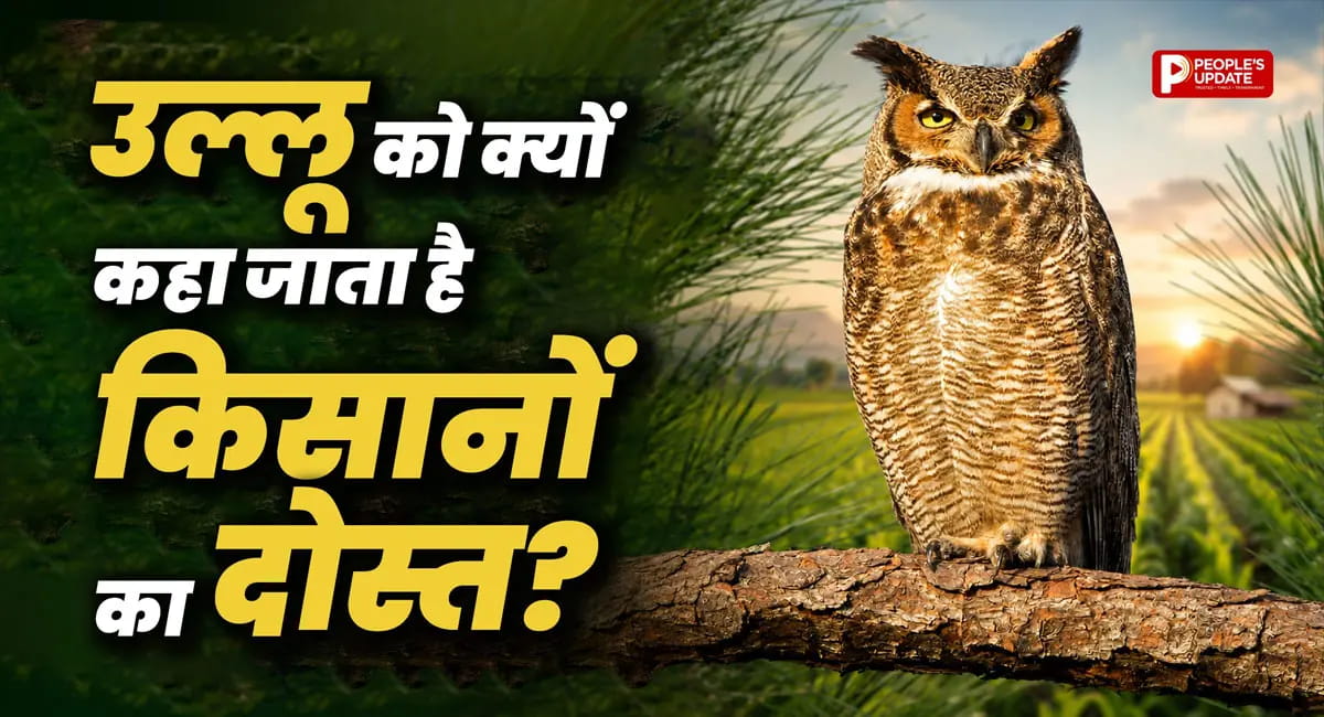 जानें कैसे करता है फसलों की सुरक्षा