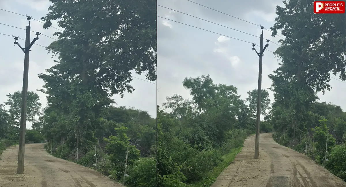 सड़क के बीच खड़ा बिजली का खंभा, हादसे का बढ़ा खतरा