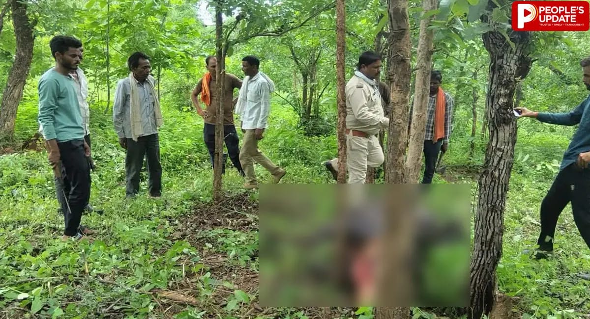 दमोह के जंगल में बाघ ने किया भैंस का शिकार, आसपास के गांवों में दहशत