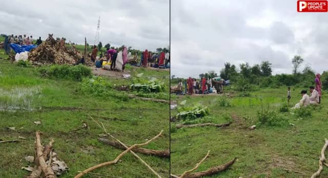 दमोह में वन भूमि से हटाई गई अस्थाई झोपड़ी, वन विभाग ने कराया अतिक्रमण मुक्त
