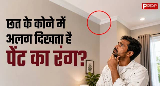 छत का पेंट कुछ दिनों बाद क्यों बदलने लगता है रंग? वजह जानकर नहीं करेंगे ये गलती