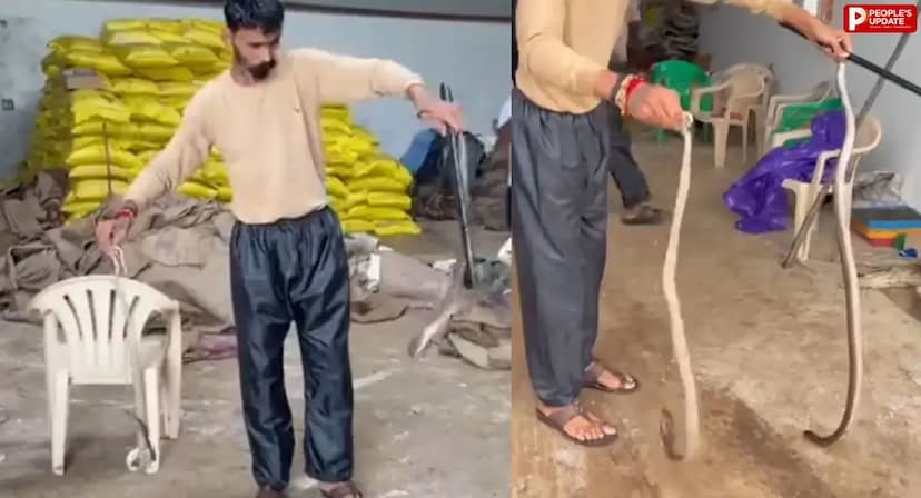 वेयरहाउस में नाग-नागिन का ‘डबल अटैक’, मच गई भगदड़