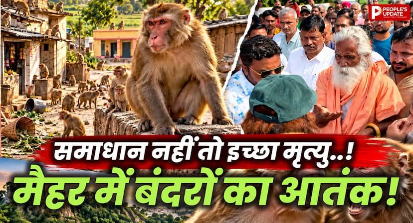 मैहर में बंदरों का आतंक! घरों में घुसकर खाना-सामान ले जाते हैं, ग्रामीणों ने मांगी इच्छा मृत्यु