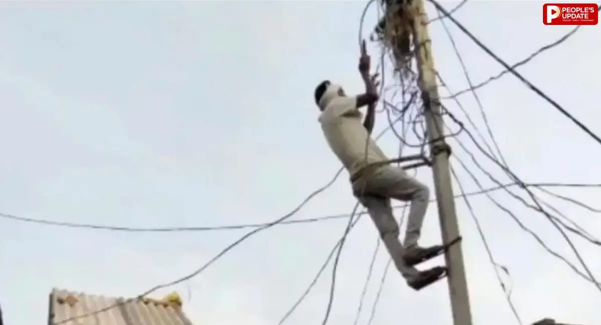 सतना में बिजली विभाग की बड़ी कार्रवाई, 260 कनेक्शन जांचे तो 43 जगह पकड़ी गई चोरी