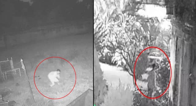 पूर्व डिप्टी सीएम TS सिंहदेव के निवास में चोरी, 15KG की पीतल की मूर्ति चोरी, FIR दर्ज