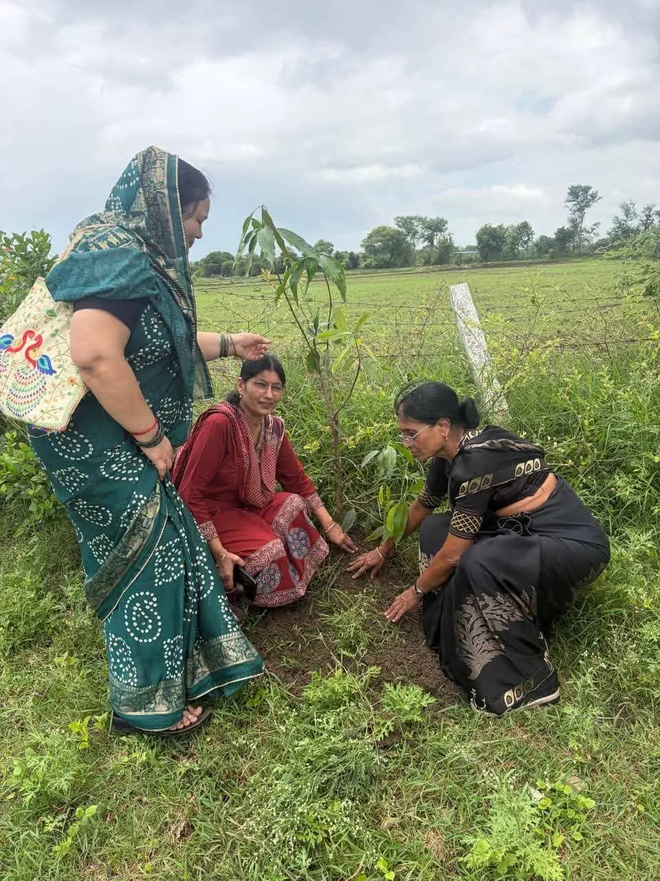 सोहागपुर में शुचिता जागृति महिला समिति का हरित अभियान, 1000 से अधिक पौधे लगाकर दिया पर्यावरण संरक्षण का संदेश