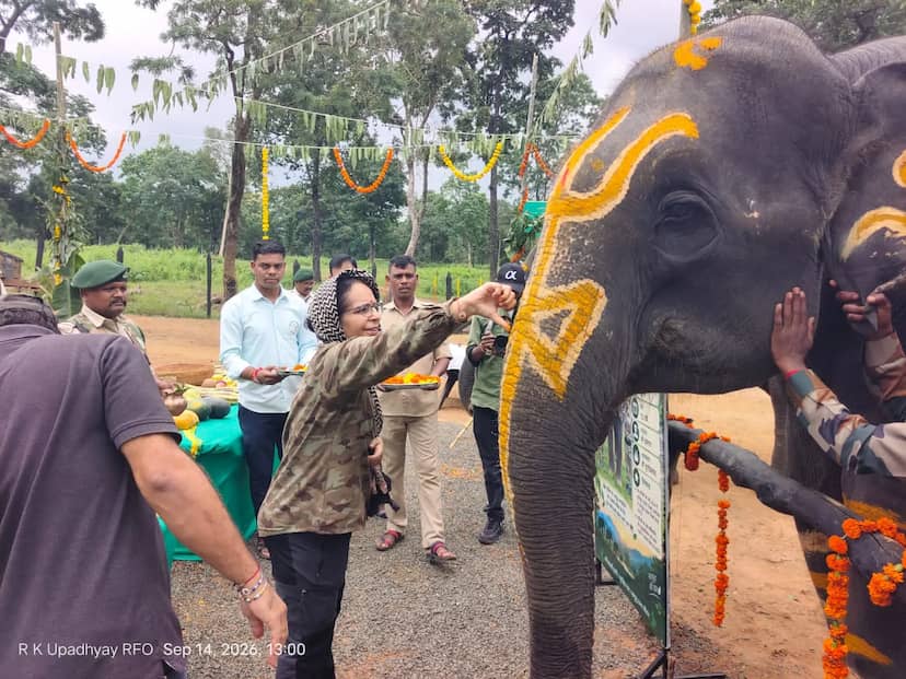 सतपुड़ा टाइगर रिजर्व में सात दिवसीय हाथी महोत्सव का शुभारंभ, छह हाथियों को मिलेगा
