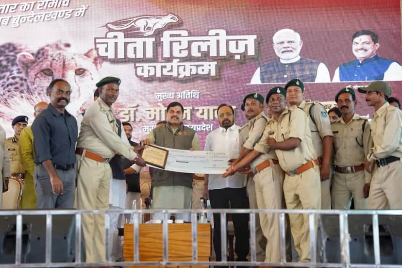सतपुड़ा टाइगर रिजर्व के वनकर्मियों को सम्मान, गौर विस्थापन में उत्कृष्ट कार्य के लिए मिला पुरस्कार