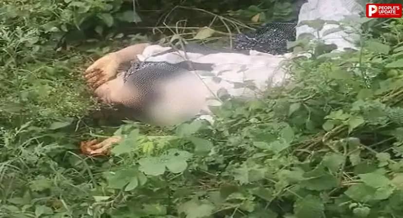 ग्वालियर में 17 वर्षीय नाबालिग का झाड़ियों में मिला शव, परिजनों ने बॉयफ्रेंड पर लगाए गंभीर आरोप