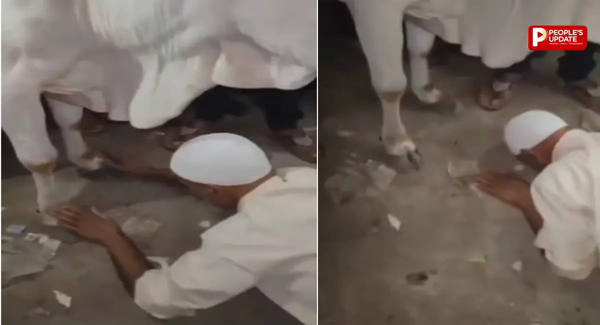 गाय को हटाने के लिए मारा पैर, फिर उसी के सामने झुककर मांगनी पड़ी माफी, देखें VIDEO