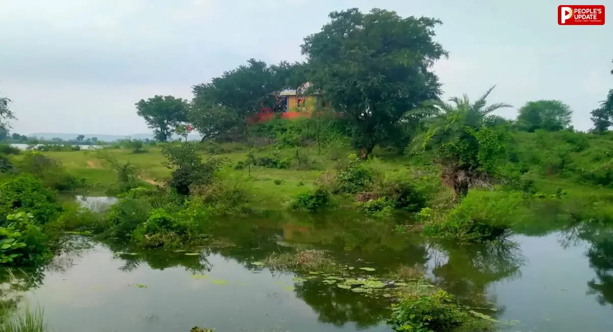 सीहोर के पार्वती डैम में पानी रोका, तो डूब गया 100 साल पुराने मंदिर का रास्ता, थमी पूजा-अर्चना