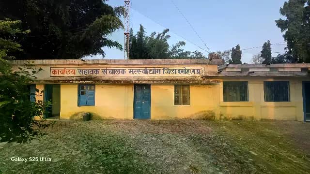 दमोह में 3,200 मछुआ परिवारों की जिम्मेदारी सिर्फ 7 कर्मचारियों पर, मत्स्य विभाग में पद खाली