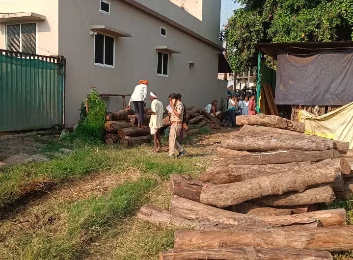 हरदा में अवैध सागौन की तस्करी का खुलासा, एक आरोपी पकड़ाया और चार फरार