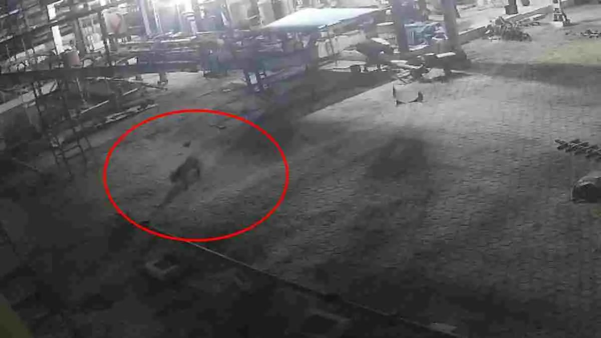 हरदा : सोया प्लांट के अंदर घुसा तेंदुआ, प्रबंधन बेखबर, सूचना के डेढ़ घंटे बाद पहुंचा वन अमला