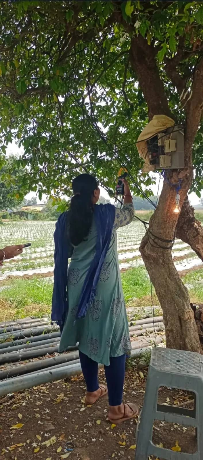हरदा में बिजली चोरी पर बड़ी कार्रवाई, 226 मामले दर्ज; 62 लाख रुपये की बिलिंग