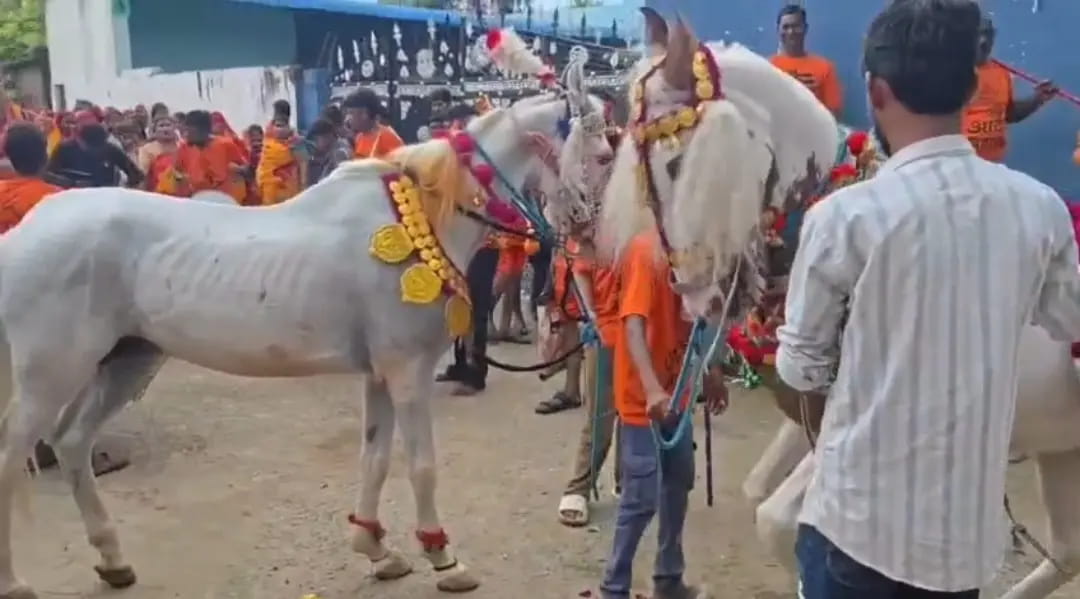 बाबरी से रमगड़ा तक गूंजे हर-हर महादेव के जयकारे, डीजे की धुन पर घोड़े के नृत्य ने मोहा श्रद्धालुओं का मन