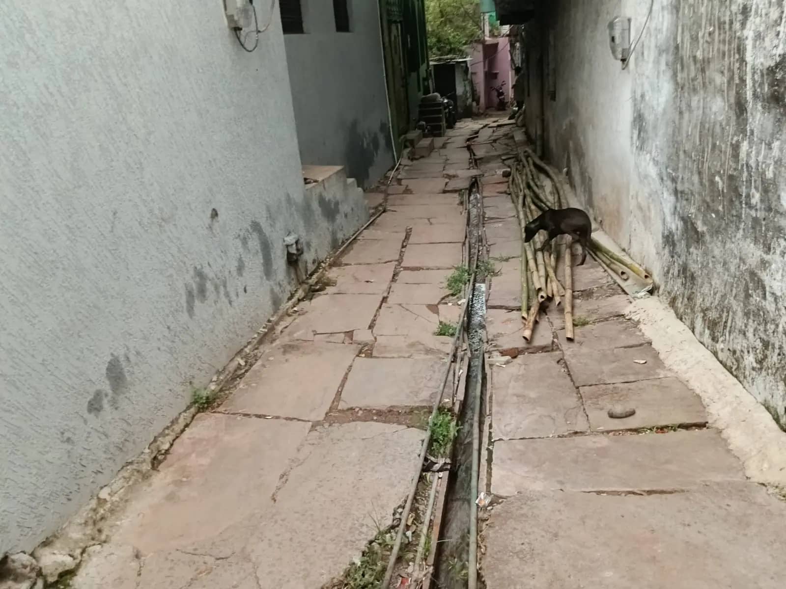 35 साल से वार्ड नंबर 1 की एक गली की दशा नहीं सुधार पा रही नगर पालिका परिषद