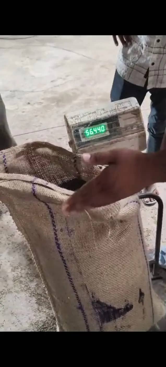 पग्नेश्वर मोक्ष वेयरहाउस में मूंग खरीदी पर गंभीर सवाल, किसानों से रिश्वत और तुलाई में धांधली के आरोप