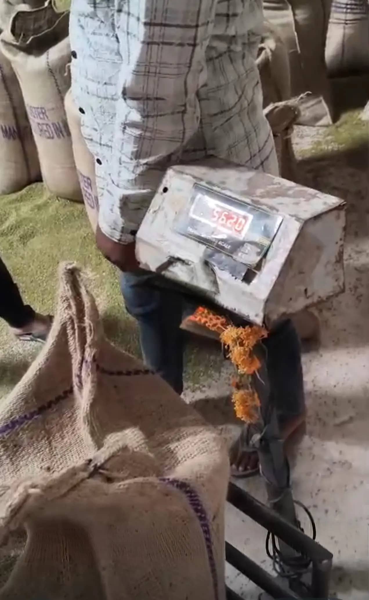पग्नेश्वर मोक्ष वेयरहाउस में मूंग खरीदी पर गंभीर सवाल, किसानों से रिश्वत और तुलाई में धांधली के आरोप